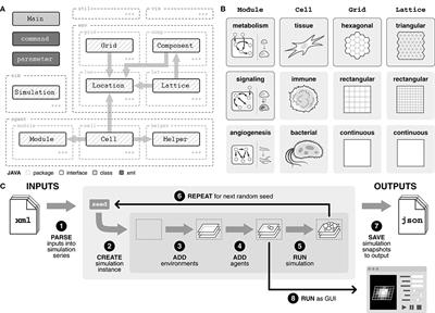 Agent-Based Models Predict Emergent Behavior of Heterogeneous Cell Populations in Dynamic Microenvironments